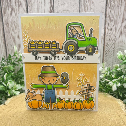 Hay, It's Your Birthday! Handmade Birthday Card